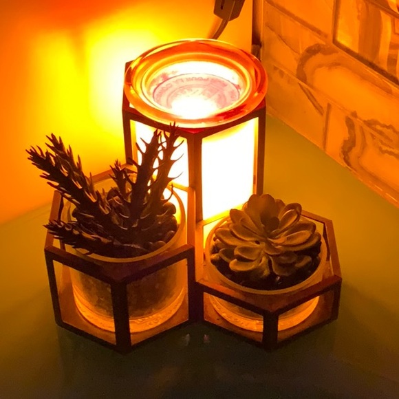 Scentsy Other - Scentsy warmer